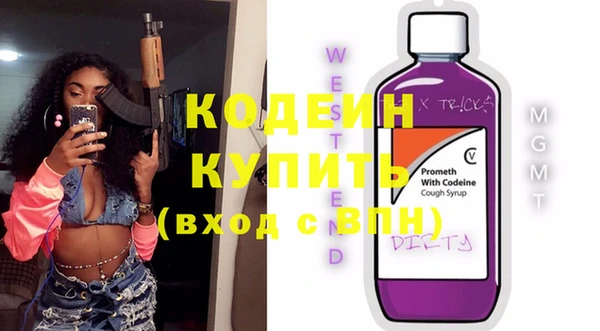 крисы Абаза