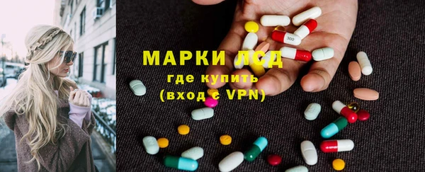 крисы Абаза