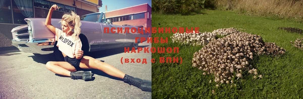 apvp Абинск