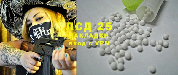 крисы Абаза