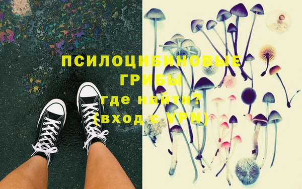 СК Абдулино