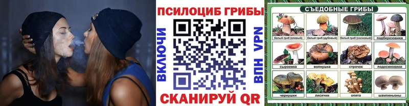 Псилоцибиновые грибы GOLDEN TEACHER  Владимир 