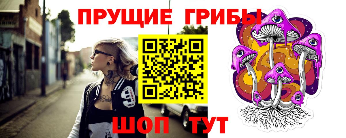 Псилоцибиновые грибы Magic Shrooms  сколько стоит  Владимир  Псилоцибиновые грибы GOLDEN TEACHER  Вход с VPN 