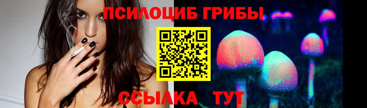 Псилоцибиновые грибы прущие грибы Владимир