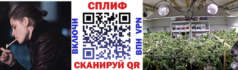 как найти наркотики  Владимир  Канабис марихуана 